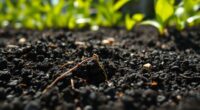 biochar locks carbon long term