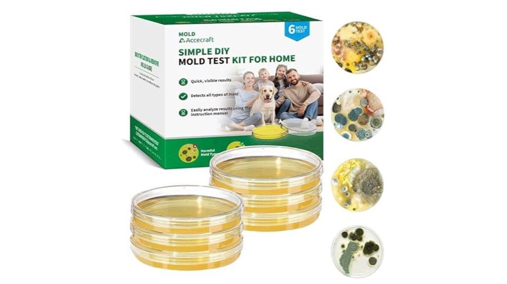home mold testing kit