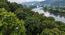 ai monitors environmental health