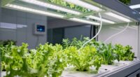 indoor hydroponic gardening