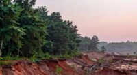 limits of carbon removal