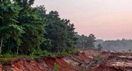 limits of carbon removal
