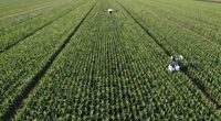 optimized farming minimizes waste