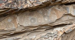 understanding earth s ancient history