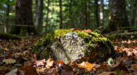 unnoticed discoveries that transform