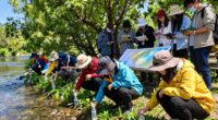 volunteer contributions enhance research