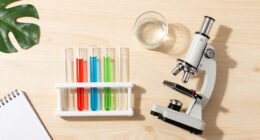13 Best Educational Science Kits in 2026