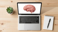 Indian Scientists Produce Most Detailed 3D Atlas Of The Human Brainstem