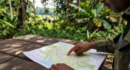 Odzala-Kokoua National Park Surges In Global Coverage