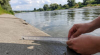 Rheinpegel
