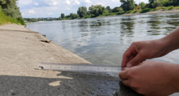 Rheinpegel