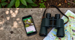 Wildlife Service Surges In Global Coverage